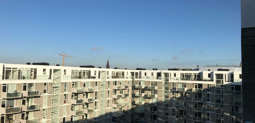 1004 – Great penthouse Islands Brygge