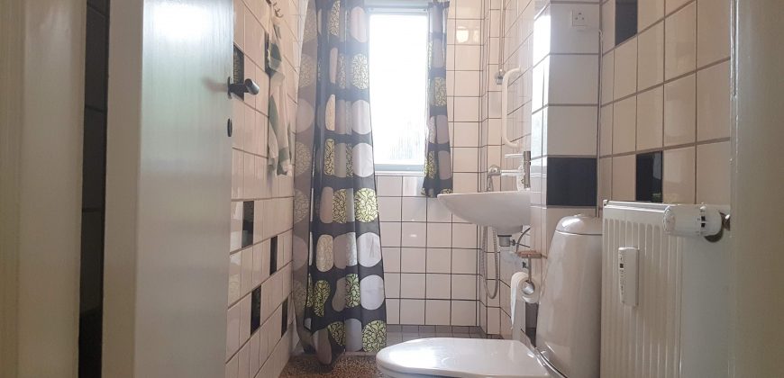 1110 – Lovely apartment in Birkerød
