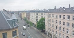 1363 – Skøn lejlighed på Frederiksberg