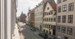 1214 – Møbleret lejlighed på Toldbodgade