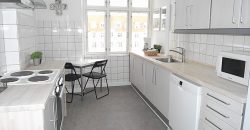 1233 – Lovely apartment next to Nyhavn