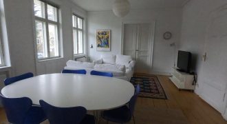 1463 – Cozy apartment at Hortensiavej