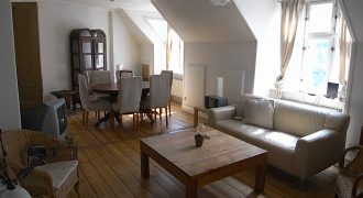 1448 – Lovely apartment at Valkendorfsgade