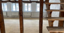 1513 – Rarely offered apartment in the heart of Copenhagen