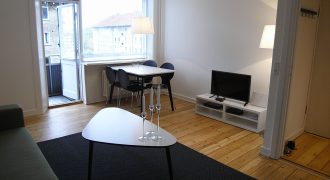1716 – Lovely apartment at Nørrebro – Fully furnished