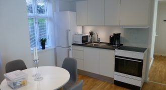 1756 – Cozy 2 room apartment in good location in Amager